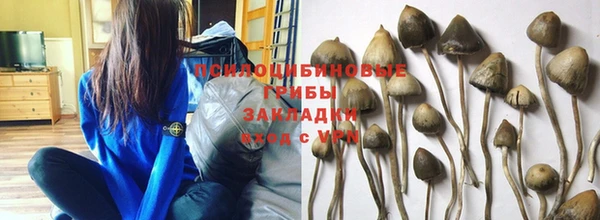 спайс Абдулино