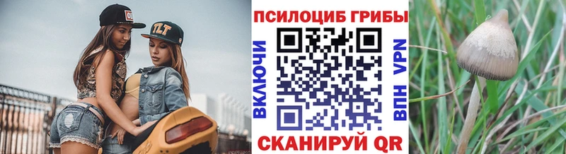 кракен ТОР  купить   Братск  Галлюциногенные грибы Cubensis 